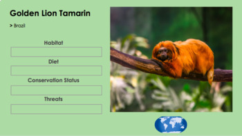 Helping the Golden Lion Tamarin - Earth Day