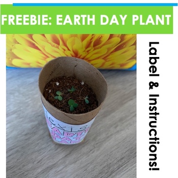 Earth Day Freebie-Plant Label & Instructions by 4thgradeflair | TPT