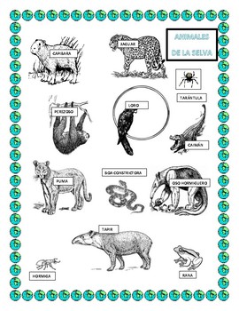 Preview of Rainforest Animals Headband in Spanish-Word Search