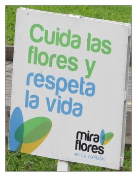 Preview of Earth Day Bilingual Spanish-English Lesson Materials