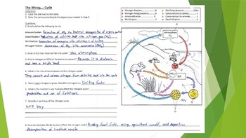 earth environmental science worksheet nutrient cycles by science land