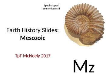 Preview of Earth History Teaching Slides: Mesozoic