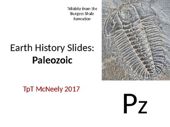 Preview of Earth History Teaching Slides: Paleozoic