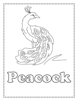 Preview of Animal Coloring Pages / Book.  Unique World Animals!