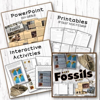 Rocks and Minerals, Soil, Fossils - Earth Science Bundle / Distance ...