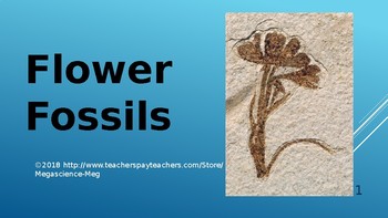 Preview of STEM: Fossil Flowers