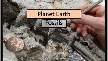 Preview of Earth Science: Fossils