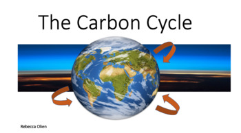 Preview of Earth Science: The Carbon Cycle