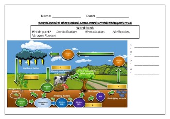 Preview of Earth Science worksheet: Label parts of the Nitrogen Cycle