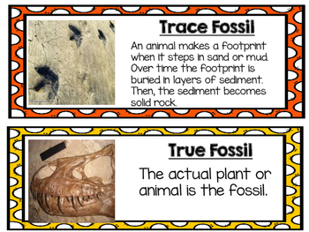 Earth's Past and Fossils Vocabulary Cards 4.E.2 by Kluttzy Kreations