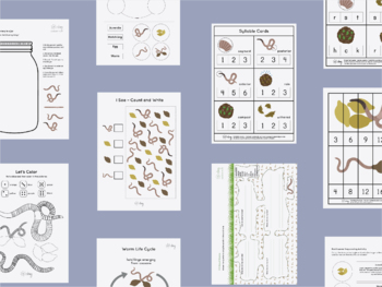 Earth worm life cycle worksheets by Eliza Birg | TpT