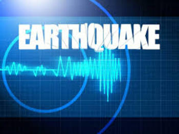 Preview of Earthquakes: Disaster Relief Project