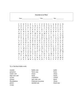 Ecosystem Word Search Worksheets Teaching Resources Tpt