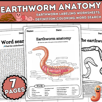 Earthworm worksheet