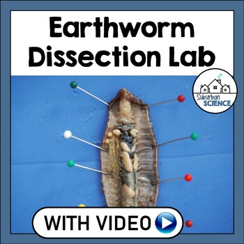Preview of Earthworm Dissection & Anatomy Lab- High School Biology or Middle School