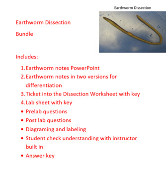 Preview of Earthworm Dissection Bundle