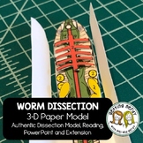 Earthworm Paper Dissection - Scienstructable 3D Dissection