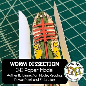 Preview of Earthworm Paper Dissection -Scienstructable 3D Dissection Model