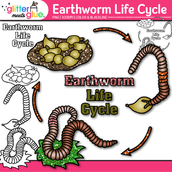 Preview of Earthworm Life Cycle Clipart Images: Bugs & Insects Clip Art, PNG Commercial Use