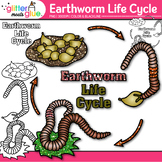 Earthworm Life Cycle Clipart Images: Bugs & Insects Clip A