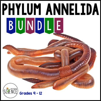 Preview of Phylum Annelida Bundle Segmented Worms Earthworms