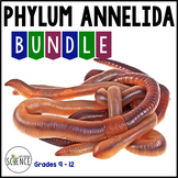 Phylum Annelida Bundle Segmented Worms Earthworms