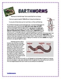 Earthworms 4 page science worksheet