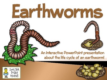 Preview of Earthworms ~ An Interactive PowerPoint Presentation of their Life Cycle