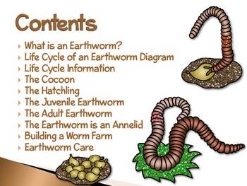 Earthworms ~ An Interactive PowerPoint Presentation of their Life Cycle