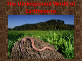 Earthworms! (lots of animations...almost 100%)