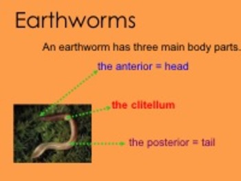 Preview of Earthworm Smartboard Lesson