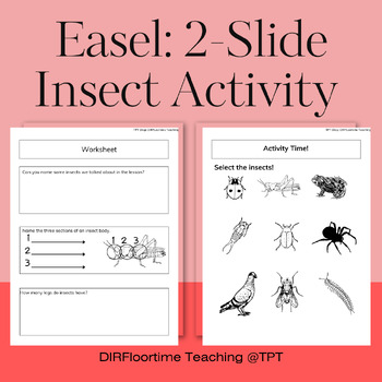 Preview of Easel: 2 Slide Insect Anatomy & Identification Worksheet