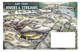 Eastcoast Rivers and Streams Poster