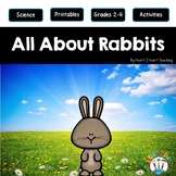 Easter Activities: All About Rabbits | Life Cycle of a Rabbit