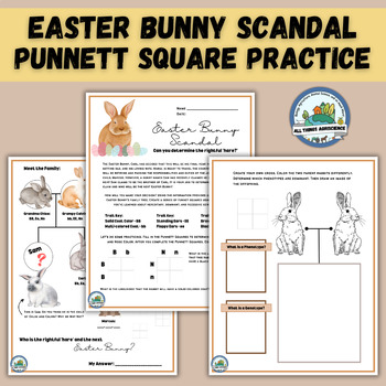 Preview of Easter Bunny Activity, Heredity & Genetics Practice, Punnett Square Worksheets