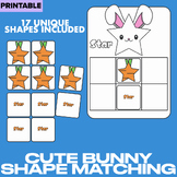 Easter Bunny Shape Matching Game and Activity , Carrot Mem