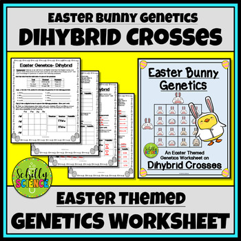 Preview of Spring Dihybrid Cross Worksheet - Easter Bunny Genetics Punnett Squares