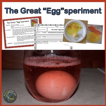Preview of Easter Science Experiment Rubber Egg