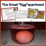 Easter Science Experiment Rubber Egg