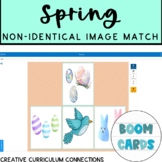 Easter/Spring Identifying Items Non Identical/ Alike Image