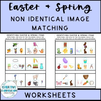 Preview of Easter/Spring Identifying Non Identical Items Image Matching Worksheets Series