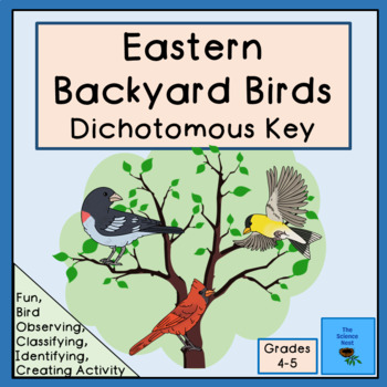 Preview of Eastern Backyard Birds Dichotomous Key