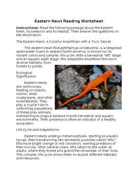 Preview of Eastern Newt Reading Worksheet w/Answer Key **Editable**
