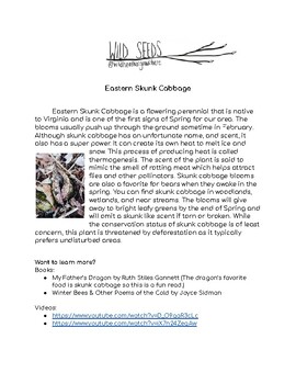 Preview of Eastern Skunk Cabbage Science Nature Resource (Wild Seeds)