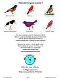 Eastern States Bird Lesson and Bird Prediction Trick