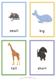 Easy Adjective Flashcards for K, Grade 1 (FREE VERSION)