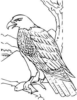 Easy Animal Coloring Pages by Art Rocks Activities | TPT