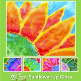 Easy Art Project Digital Lesson Plan Sunflower with Scienc