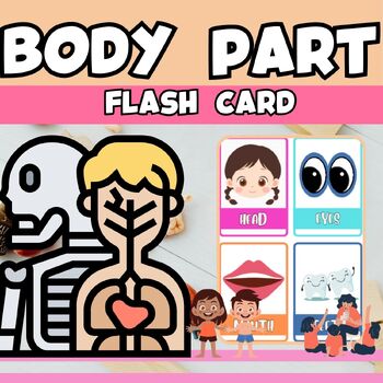 Preview of Easy Body Parts flash card Word vocabulary for Kindergaten,1st,2nd