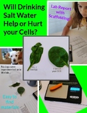 Easy Science Lab with Guided Lab Report: Can Your Body Sur